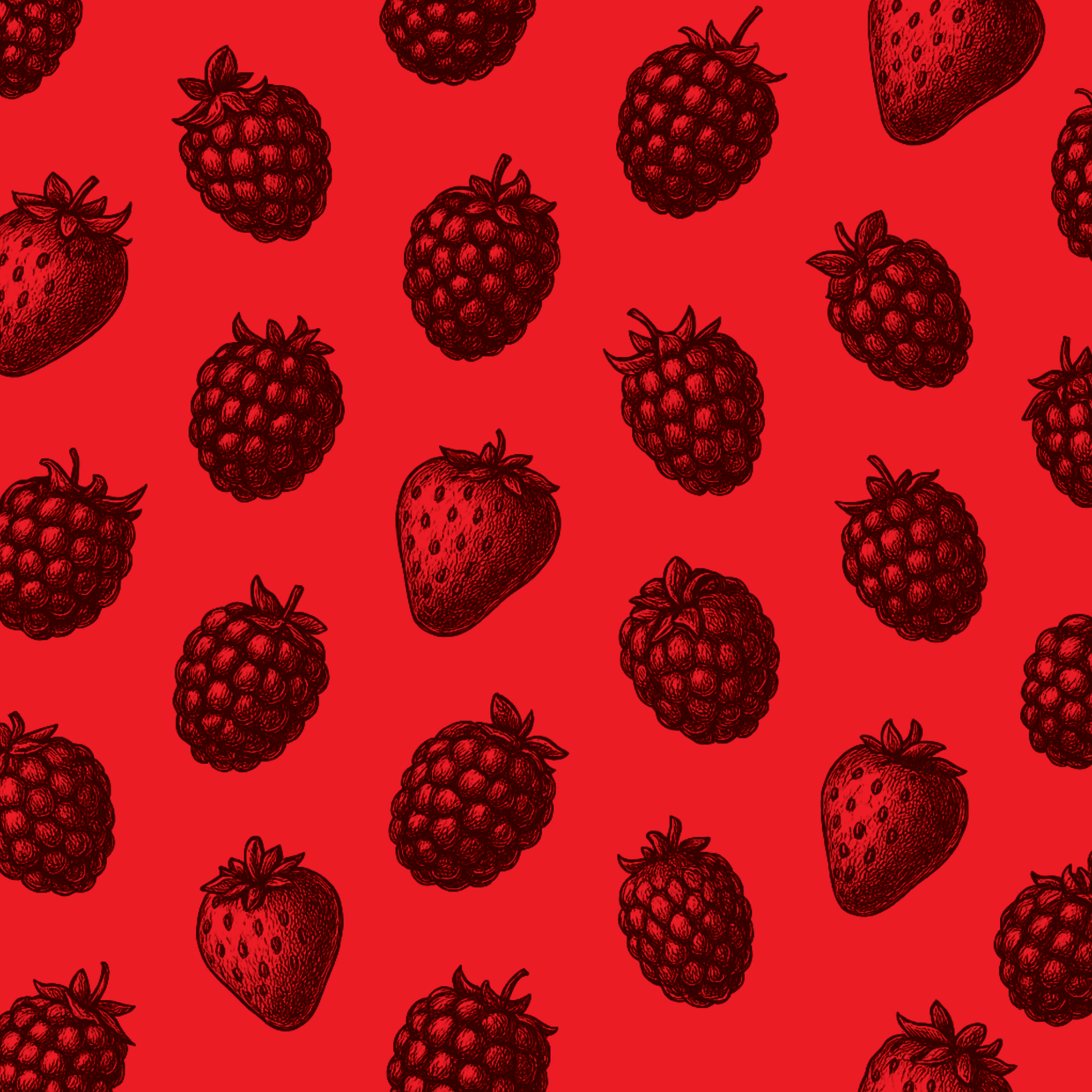 Berry - PIQ