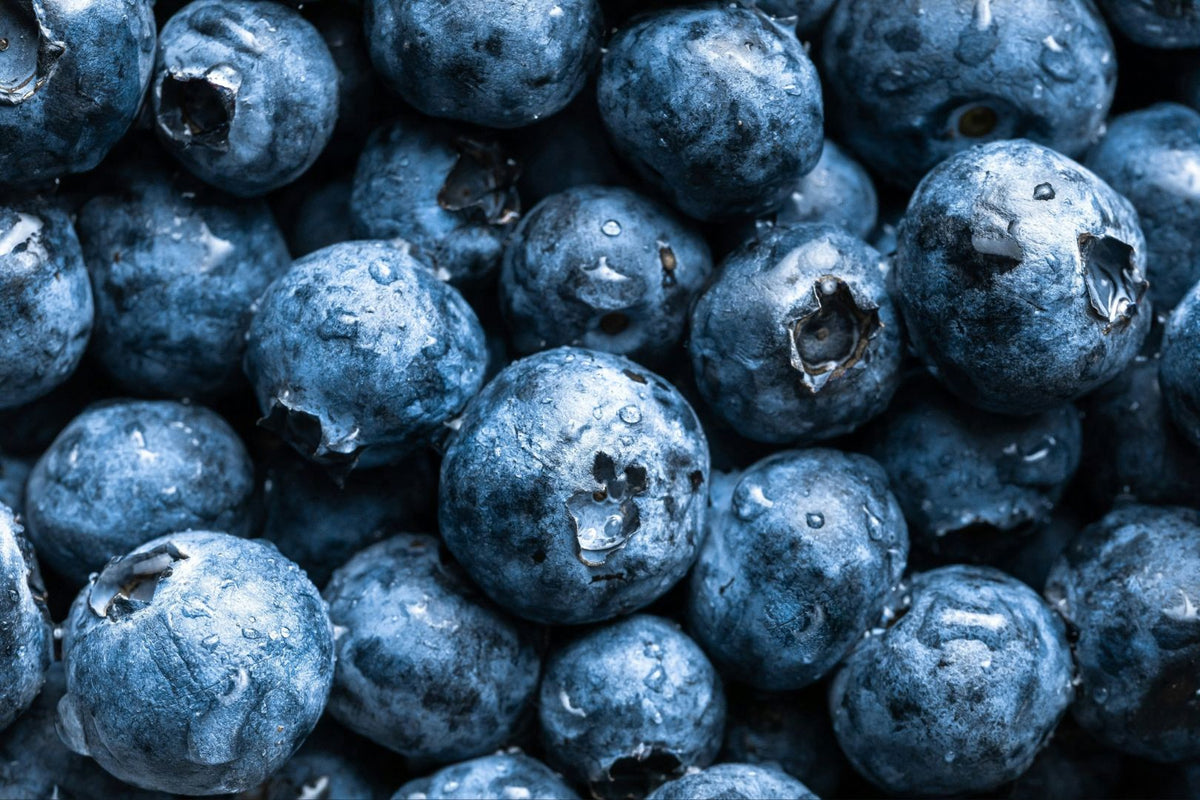Berry - PIQ