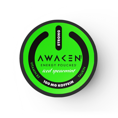 AWAKEN Ledena meta